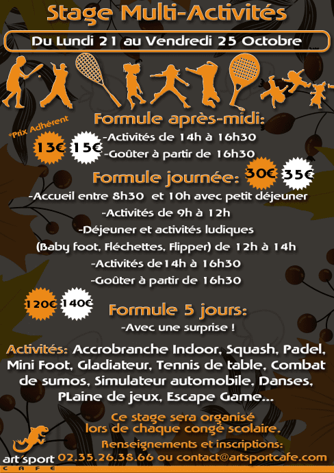 Stage multi activité art sport café le havre